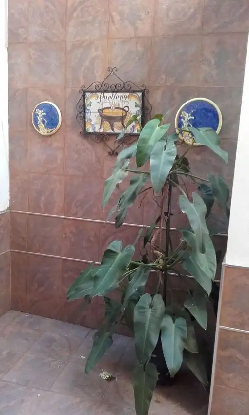 Jardín de Piso en venta en Sanlúcar de Barrameda con Trastero