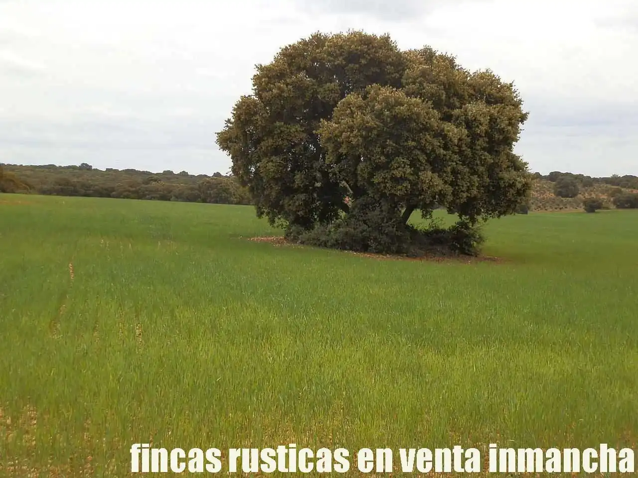 Terreno rustico in vendita a Ruidera, imagen 11