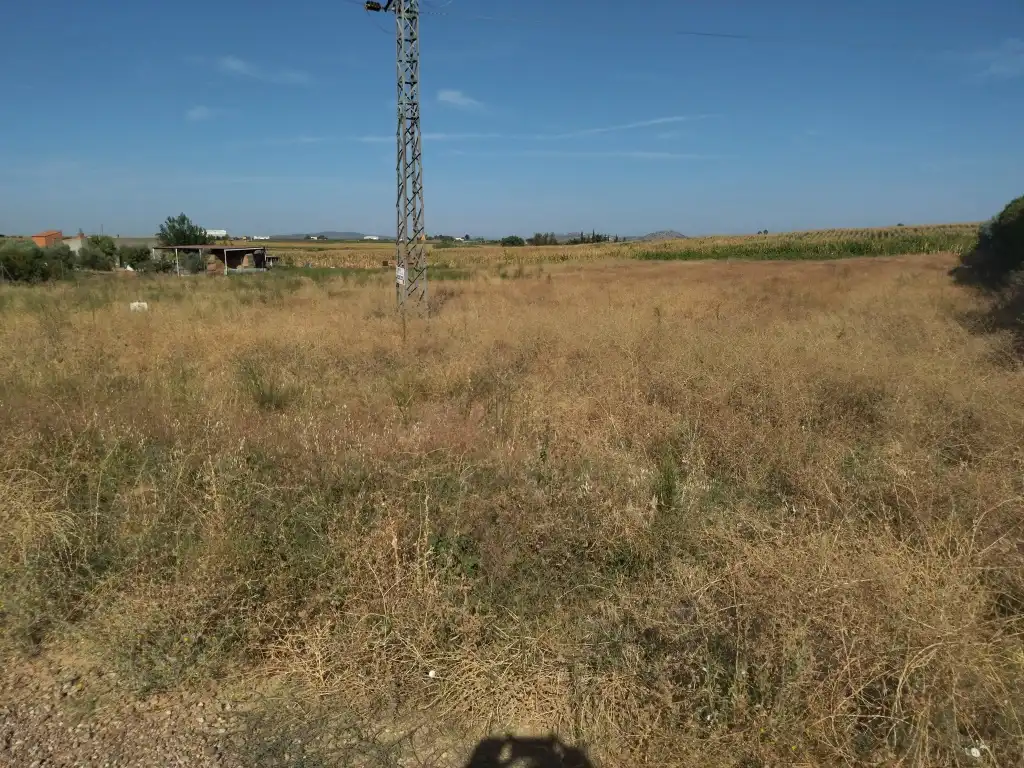 Terreni e lotti in vendita a Don Benito