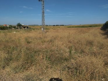 Terrain rustique à vendre à Don Benito