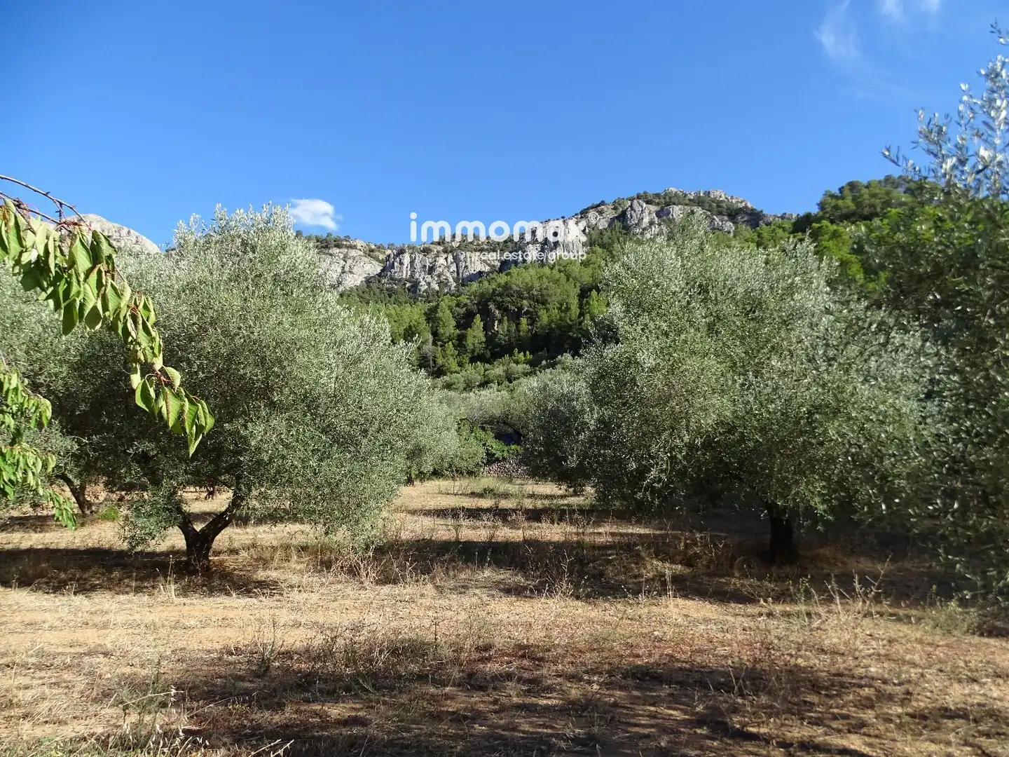 Terreno en venta en Paüls