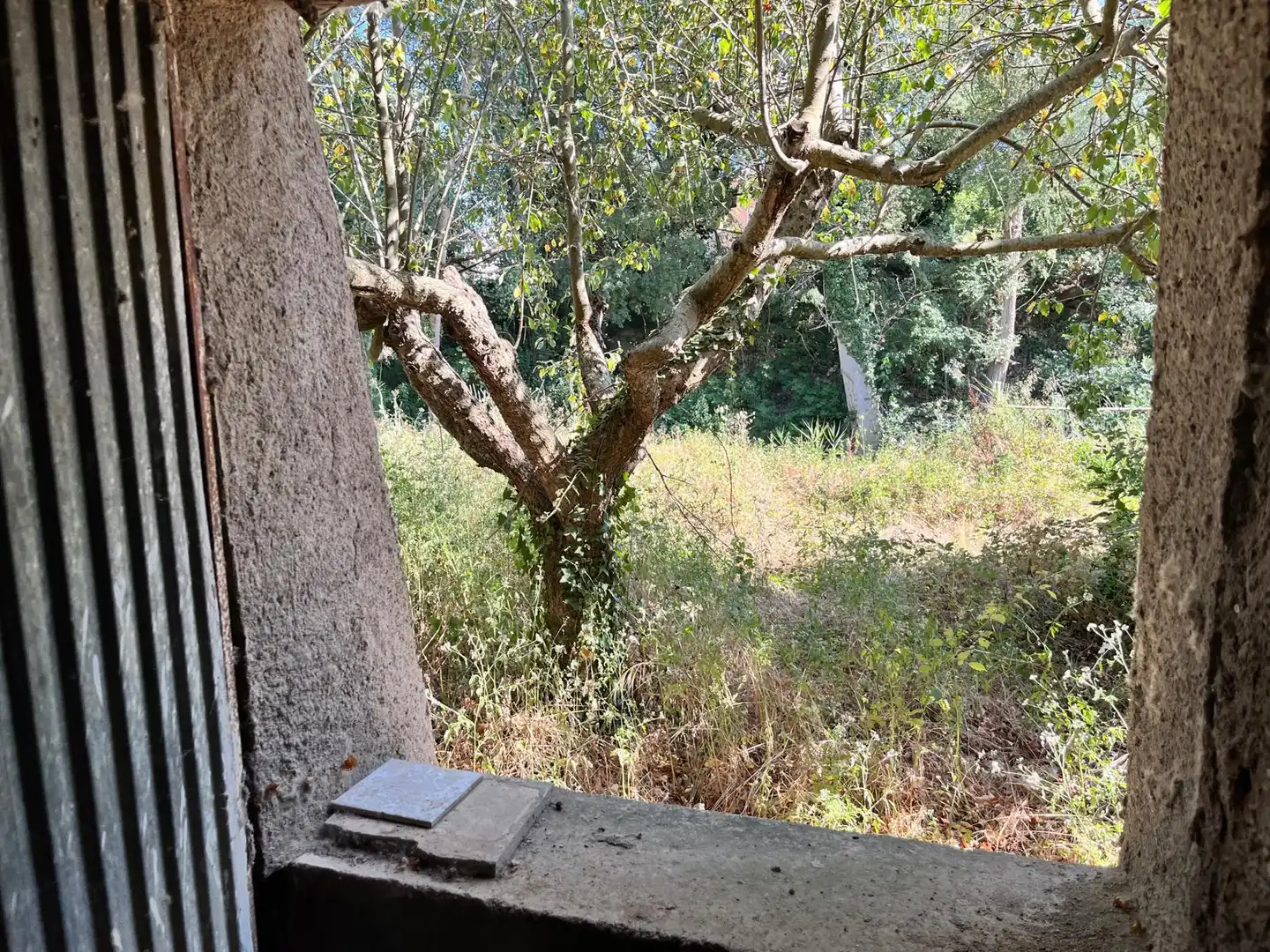 Garten von Einfamilien-Reihenhaus zum Verkauf in Castillazuelo mit Heizung