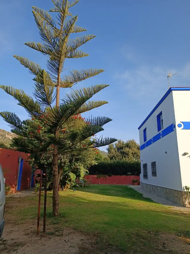Vista exterior de Casa o chalet en venta en Tarifa con Jardín privado y Terraza