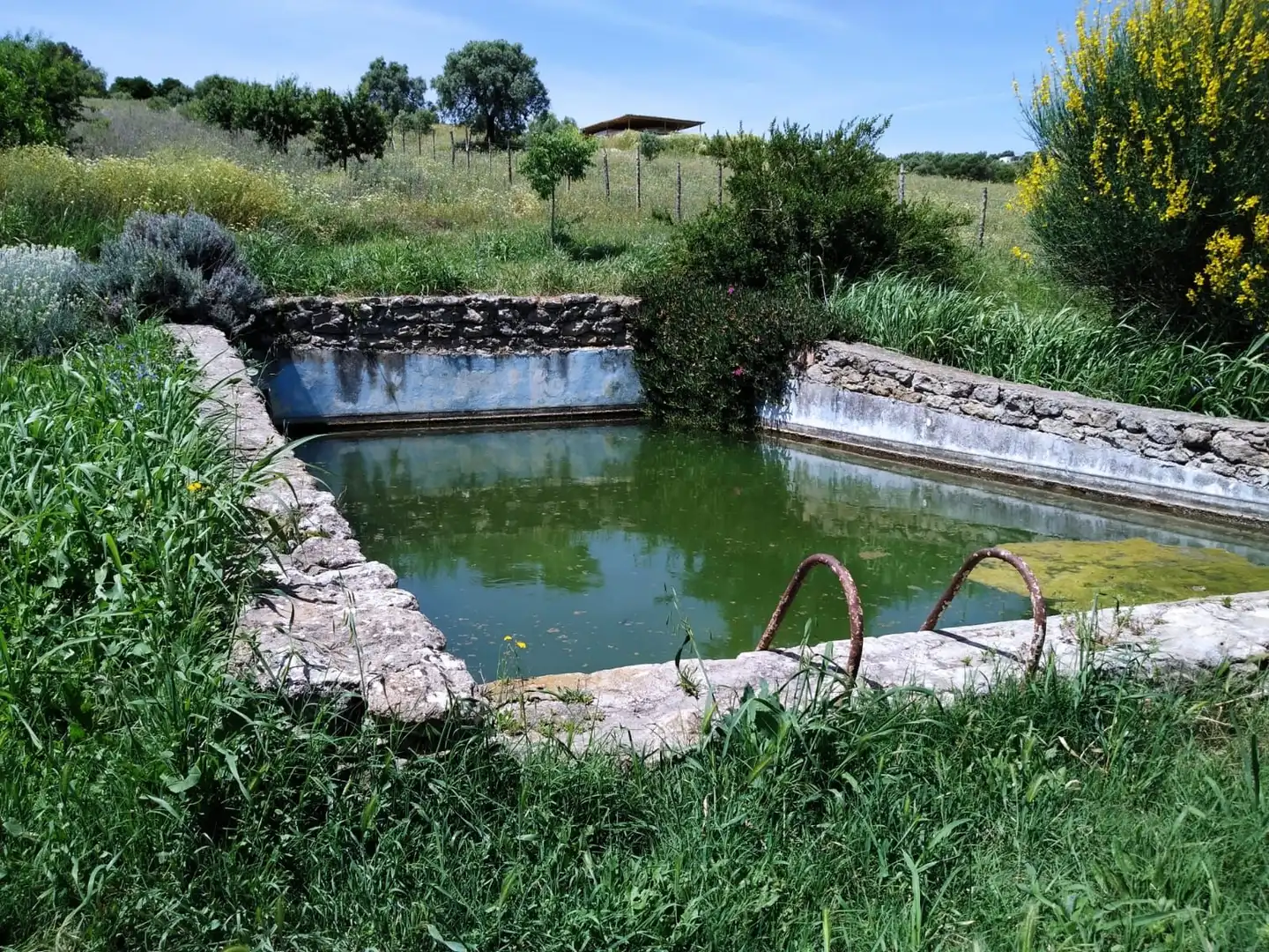 Terreny rústic en venda a Arcos de la Frontera, imagen 3