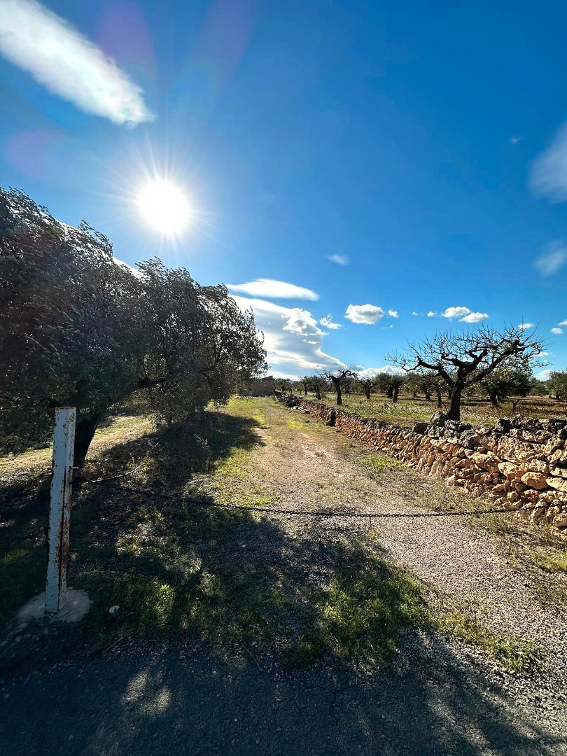 Finca rústica en venda en Móra d'Ebre amb Jardí privat, Terrassa i Traster