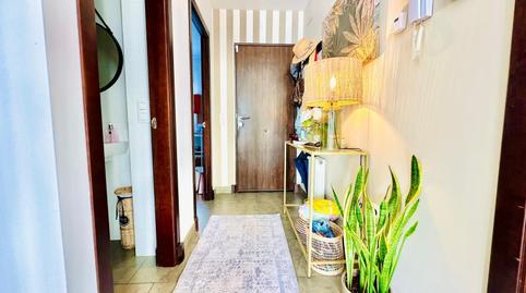 Photo 5 of Single-family semi-detached for sale in Los Franceses – La Vega, Cádiz