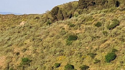 Terreno en Bayarque, imagen 3