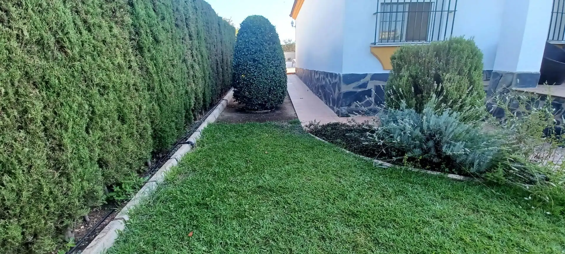 Casa con piscina in vendita a Castilblanco de los Arroyos, imagen 28
