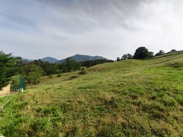 Rural land for sale in Bº LA CUESTA