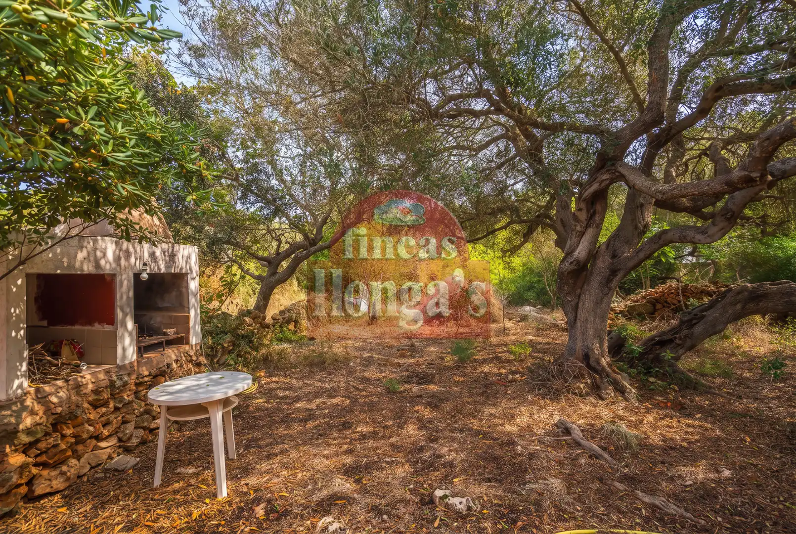 Casa rustica con piscina in vendita a Cala Blanca, imagen 14