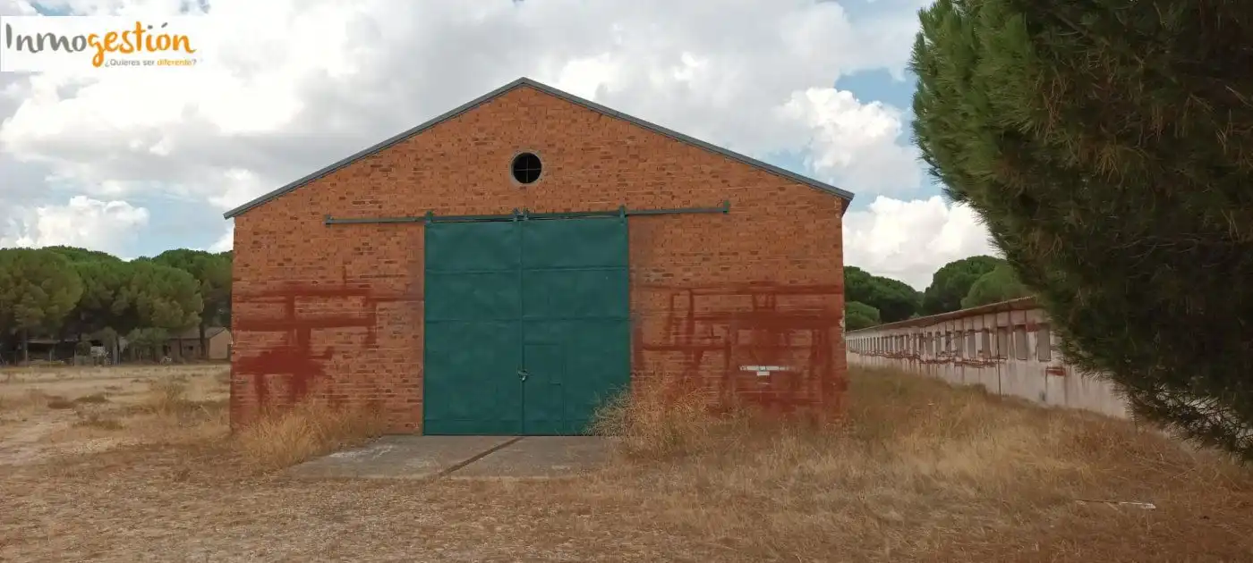 Terreno rústico en venta en Sardón de Duero