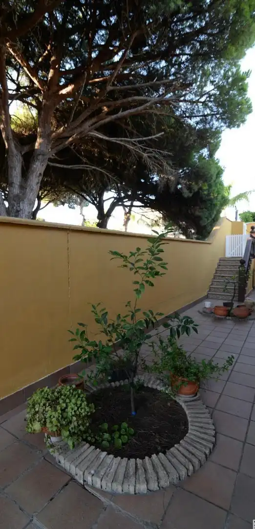 Villa con piscina in vendita a La Barrosa, imagen 9