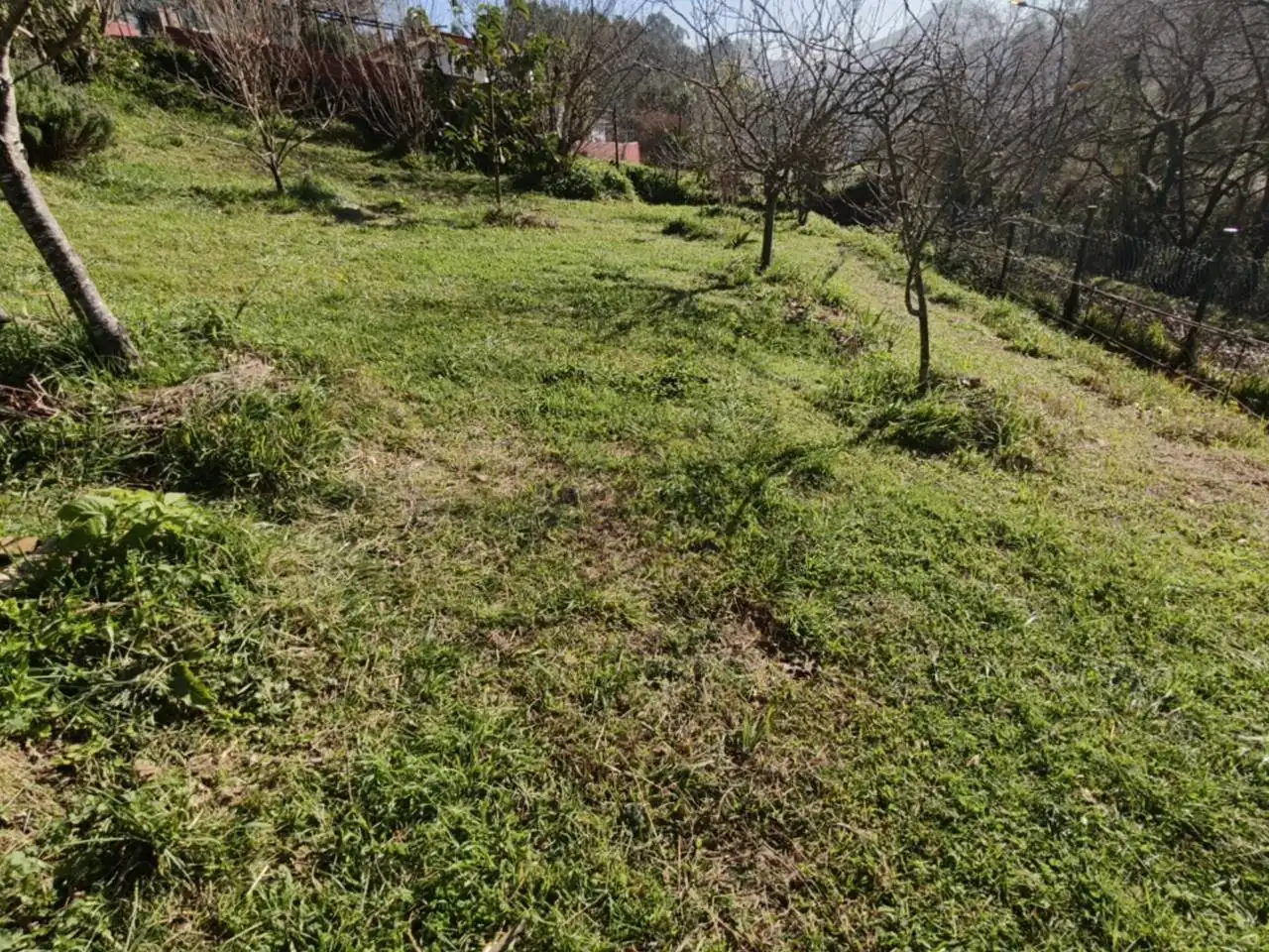 Casa o xalet en venda en Muskiz amb Jardí privat i Terrassa