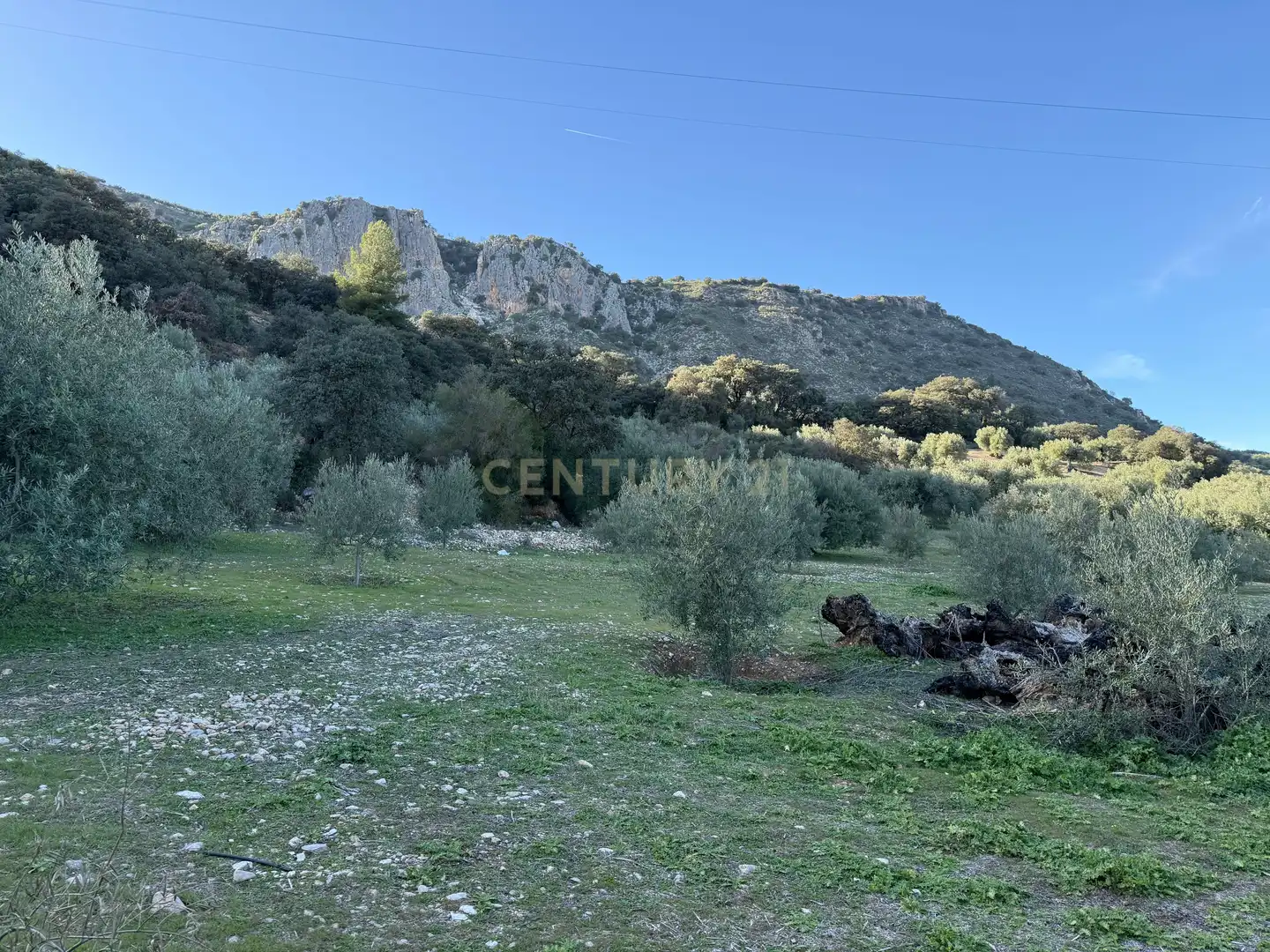 Rustikales Grundstück zum Verkauf in 8536+FQ Algarra sales, Spain, imagen 2