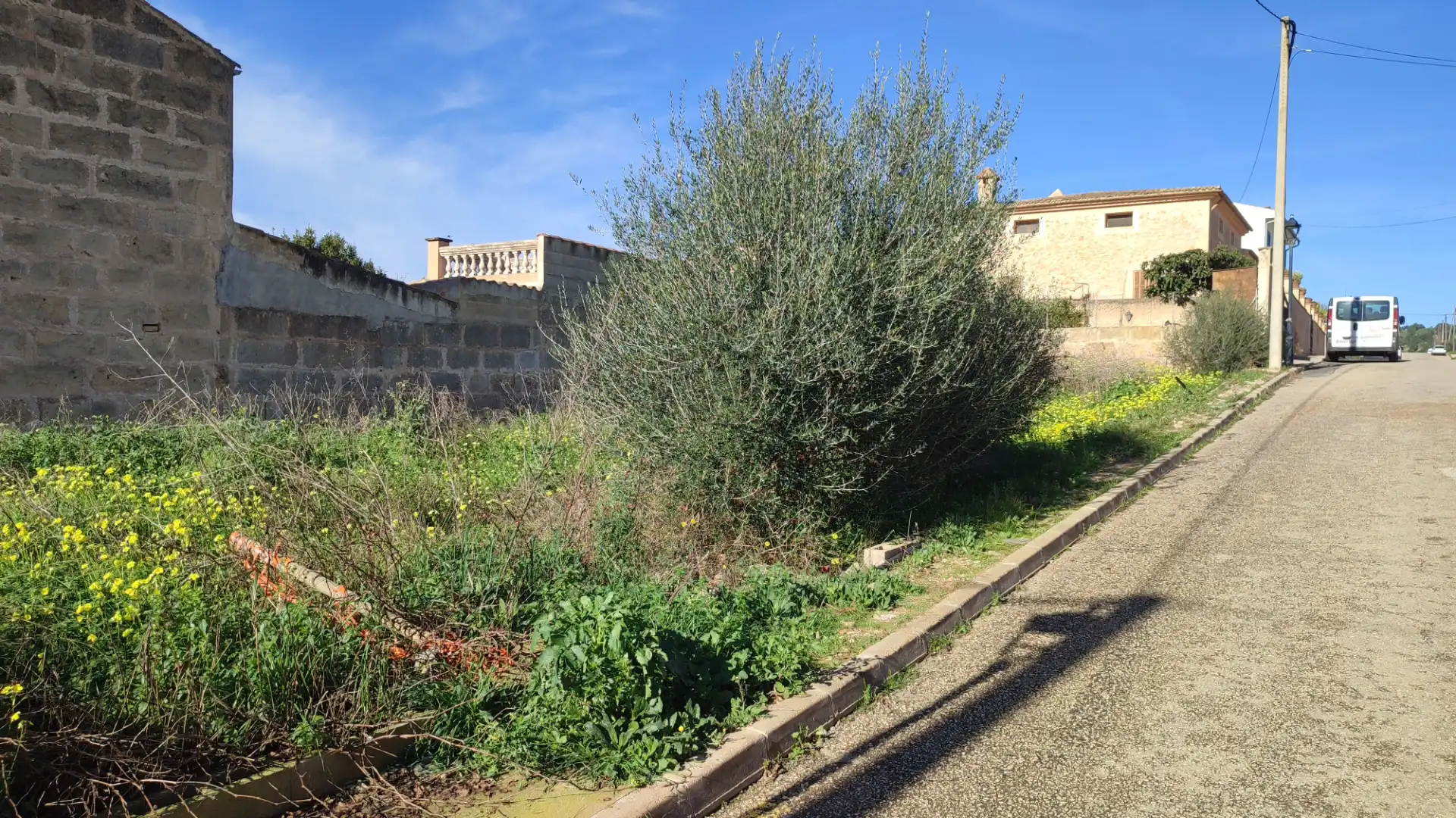 Terreny residencial en venda a Carrer d'es Mestre Bauçà 7, imagen 9