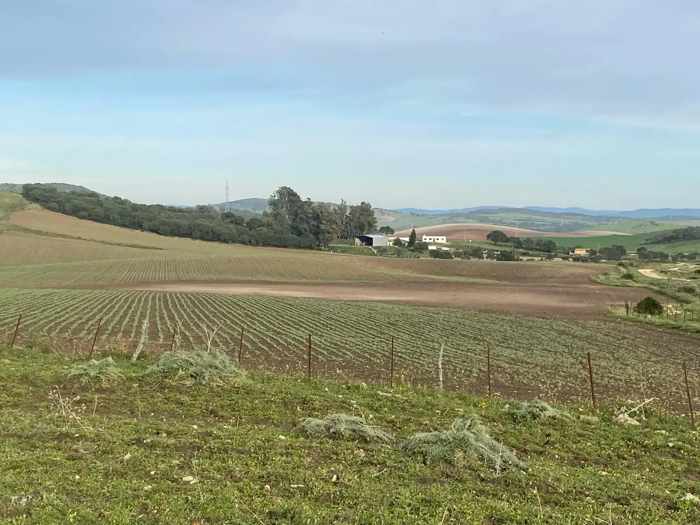 Terreni e lotti in vendita a Medina Sidonia, imagen 8