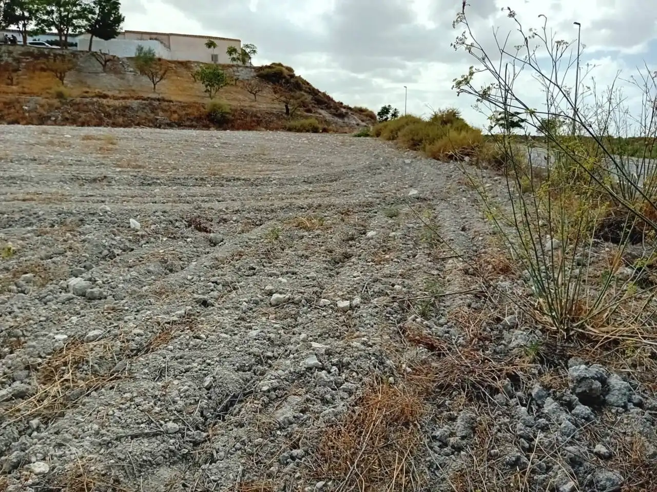 Industrial land for sale in Orce