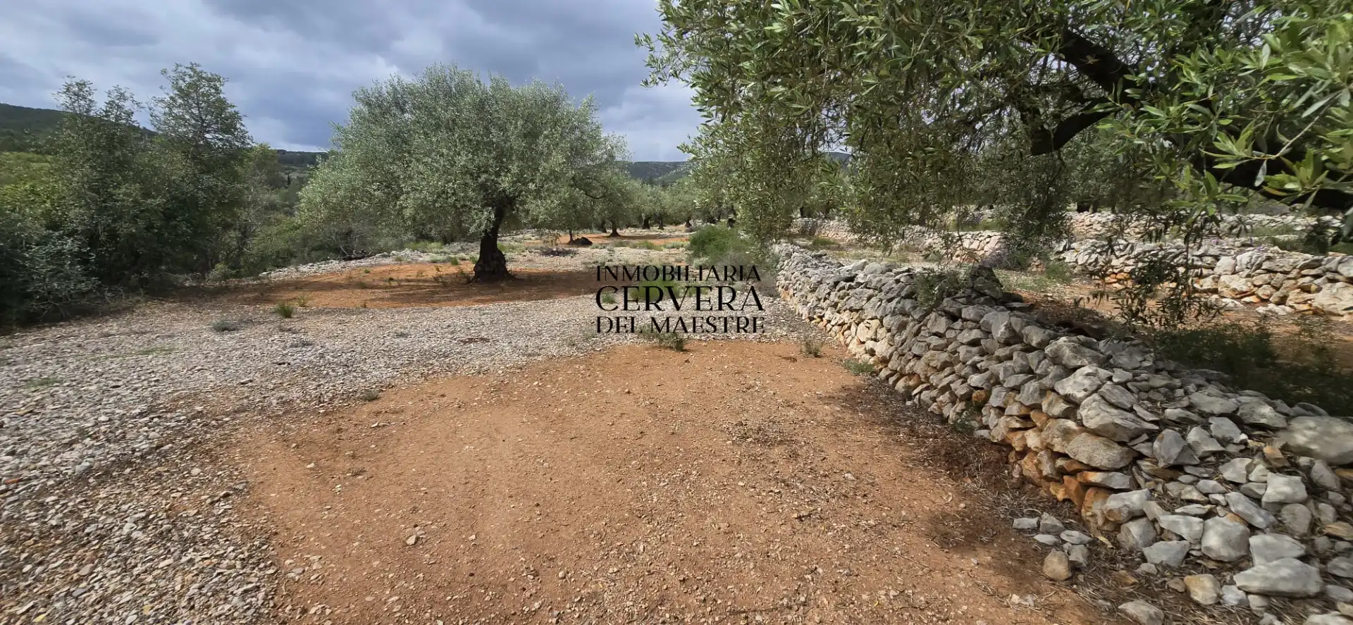 Terreno rustico in vendita a Cervera del Maestre, imagen 10