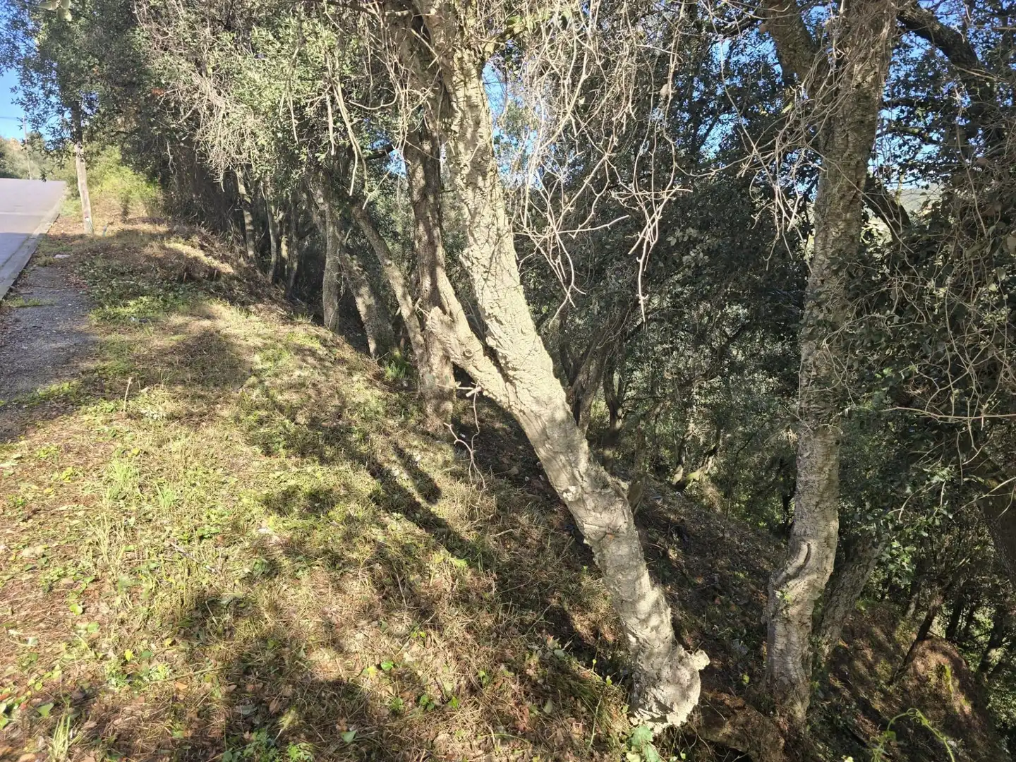 Residential land for sale in del Garrofer 7, imagen 3
