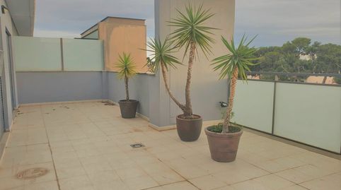 Foto 4 von Dachboden zur Miete in Casas Verdes, Paterna