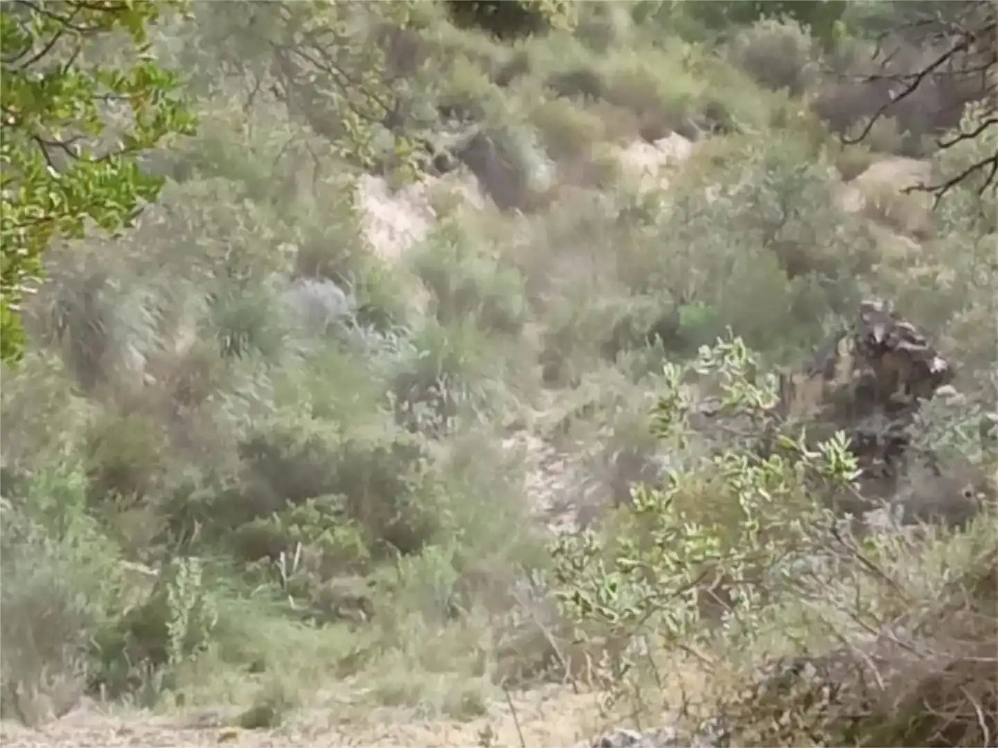 Terreno en venta en Busot
