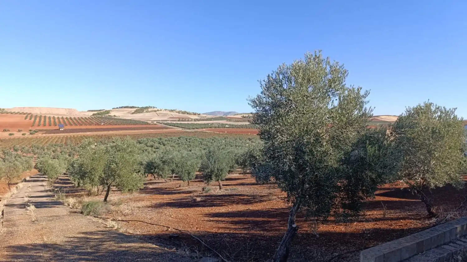 Casa rústica en venda a Valdepeñas, imagen 41