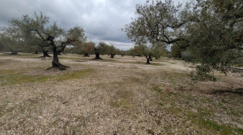 Photo 5 of Land for sale in Traiguera, Castellón