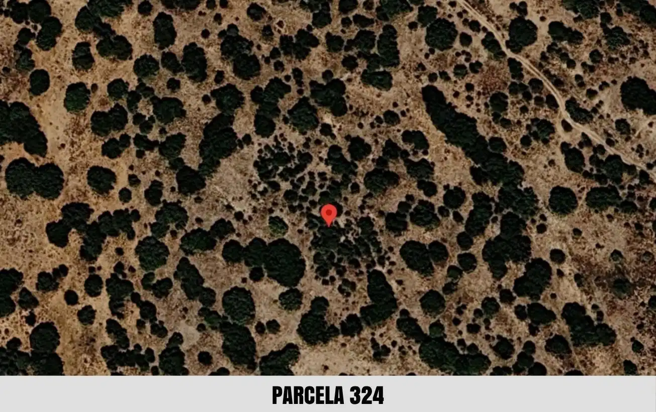 Terreno en venta en Torrijo del Campo
