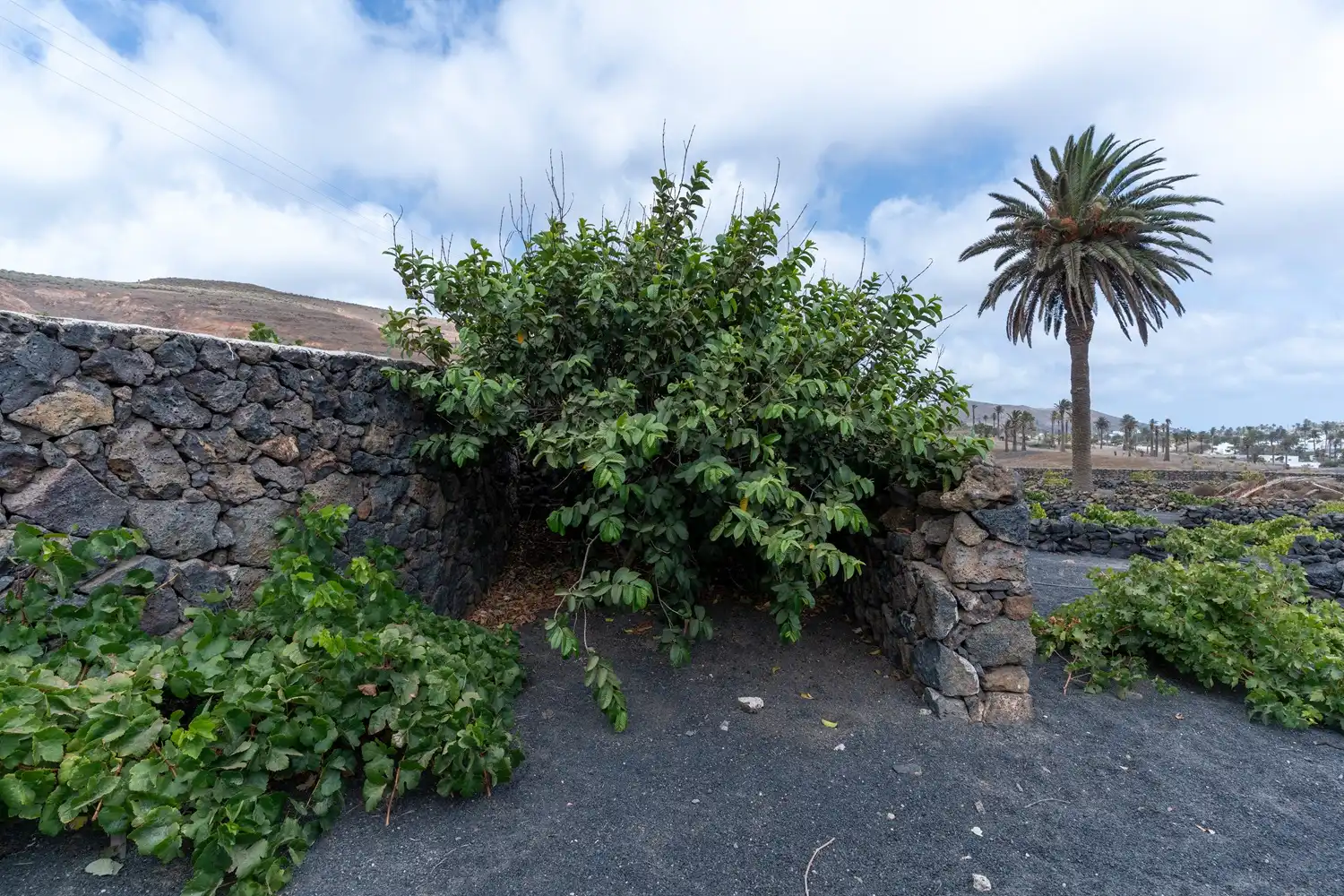 Exterior view of Country homes for sale in Haría pueblo