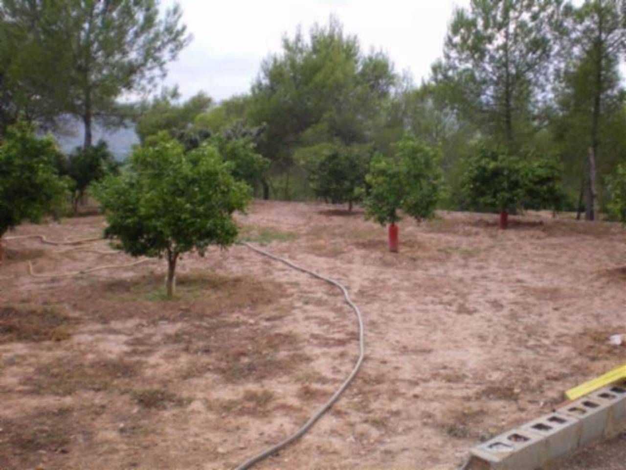 Country house zum Verkauf in Sagunto / Sagunt mit Terrasse