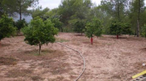 Photo 2 of Country house for sale in Doctor Palos - Alto Palancia, Valencia