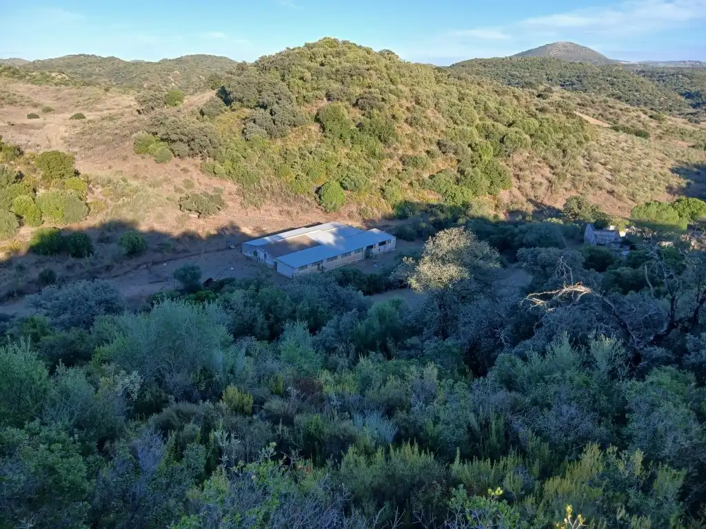 Exterior view of Residential for sale in Morón de la Frontera