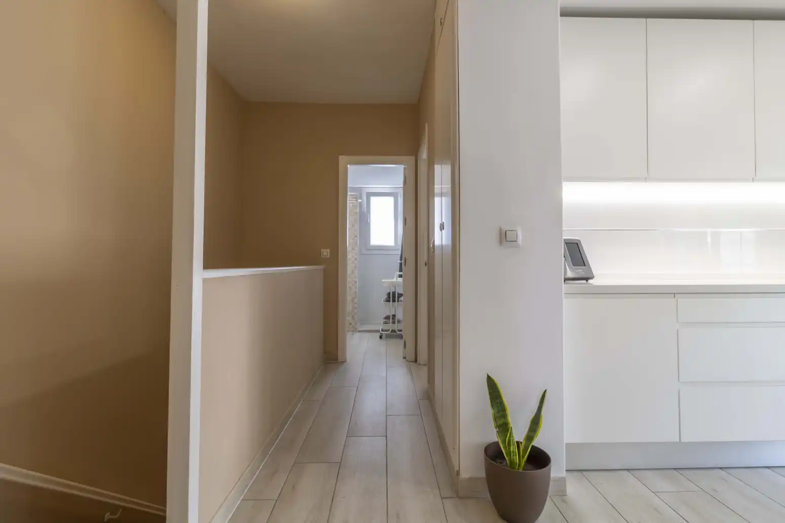 Detached homes for sale in Palmete