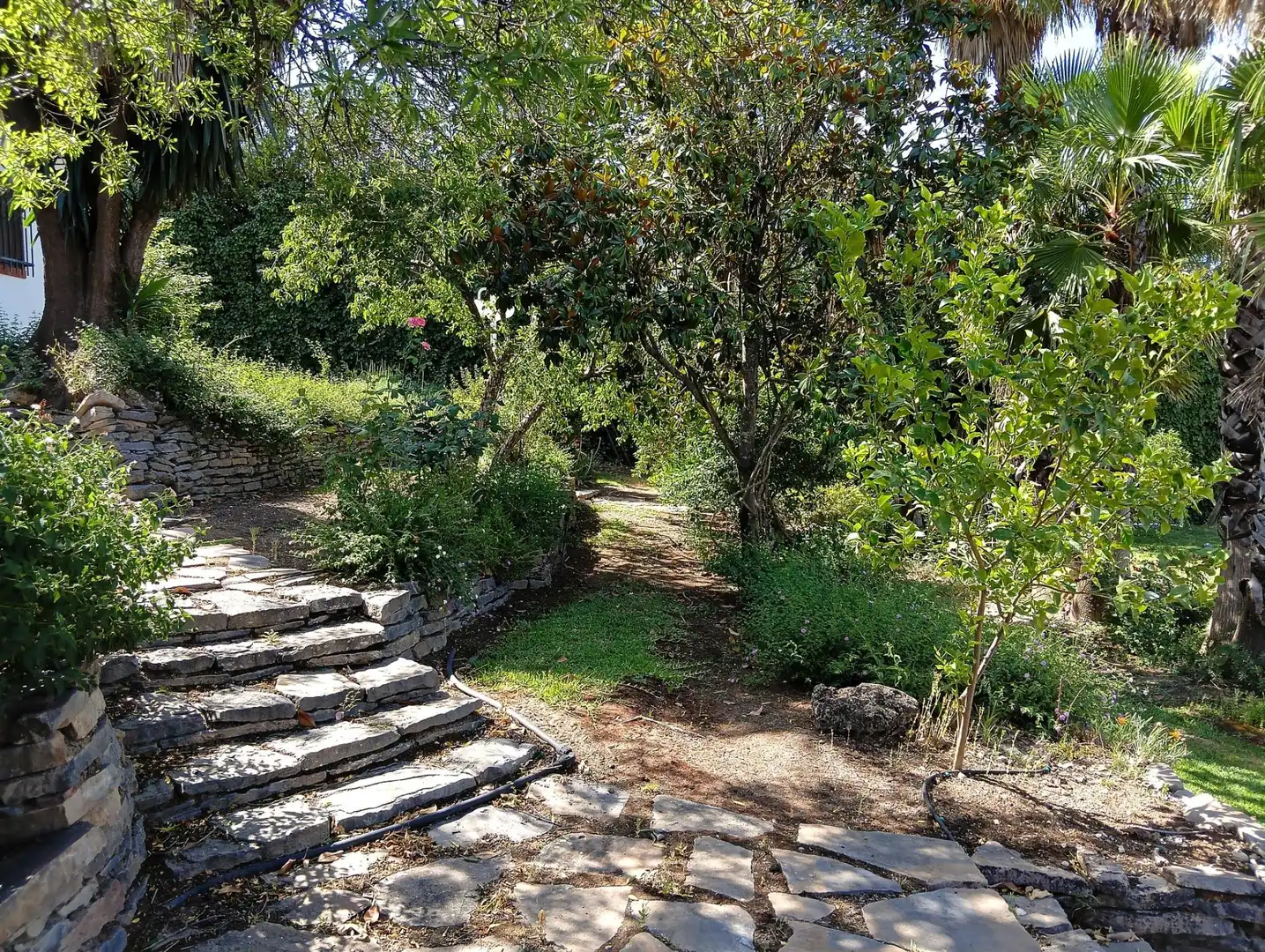 Jardí de Casa o xalet en venda en El Bosque amb Piscina comunitària