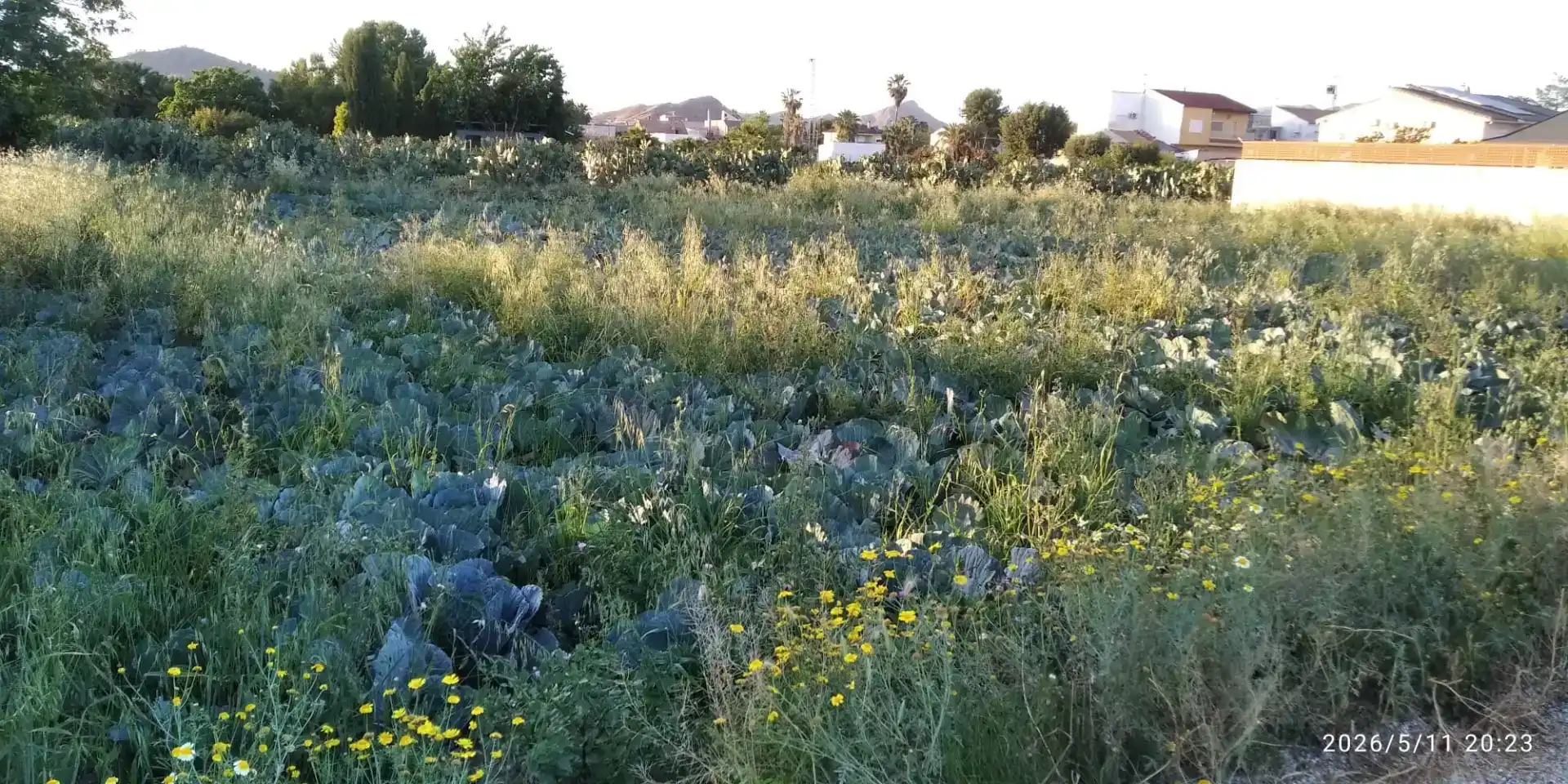 Grundstücke zum Verkauf in Murcia