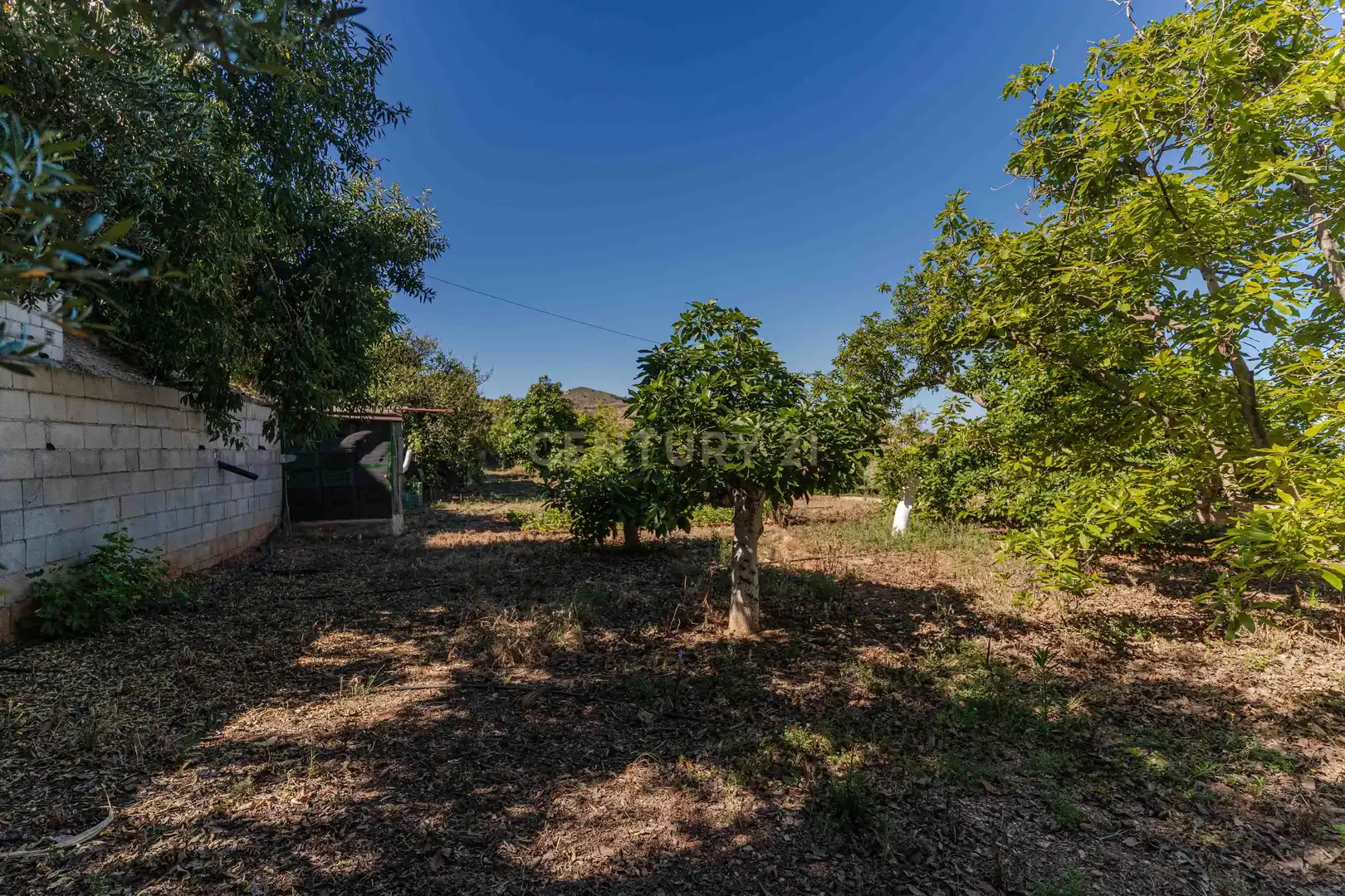 Casa o chalet en venta en Motril