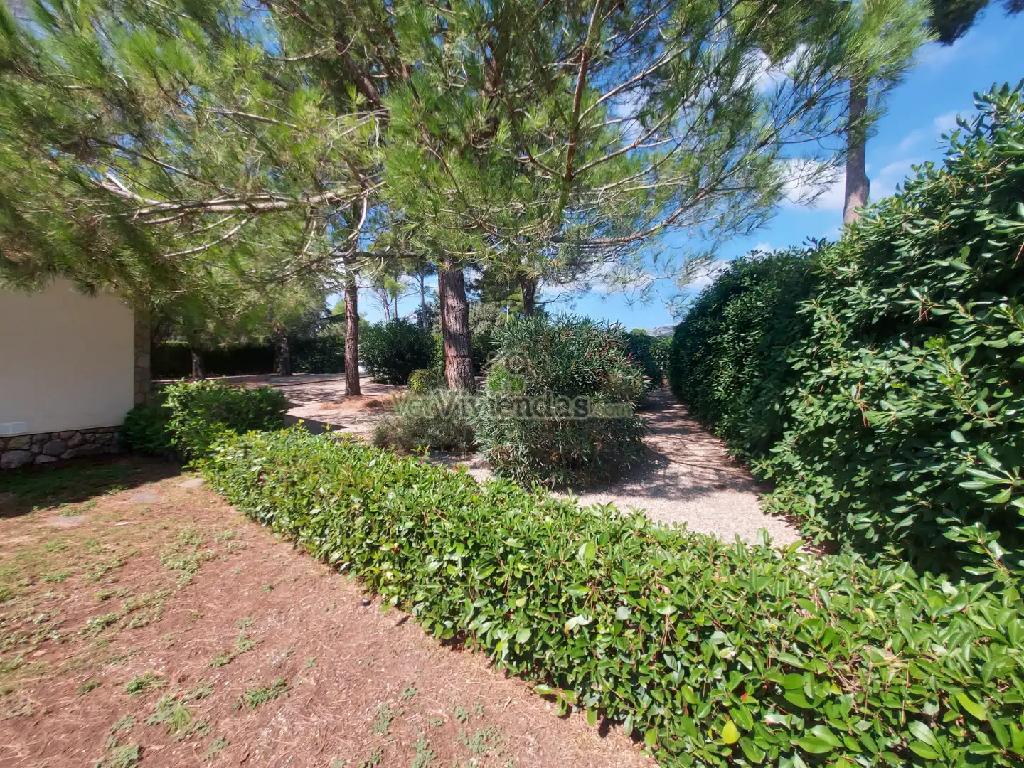 Casa o chalet en venta en Carrer Portbou, 5, Collbató