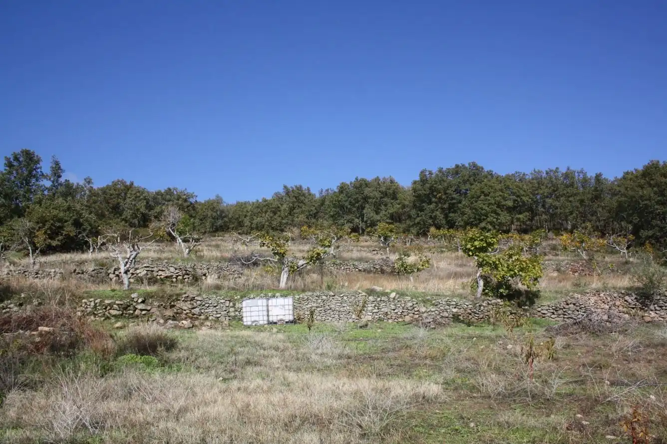 Finca rústica en venta en Torremenga con Jardín privado, Terraza y Amueblado