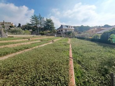 Terreny residencial en venda a Caldes de Montbui