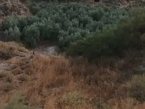 Terreno rustico in vendita a Calle General Q de Llano 34, imagen 2