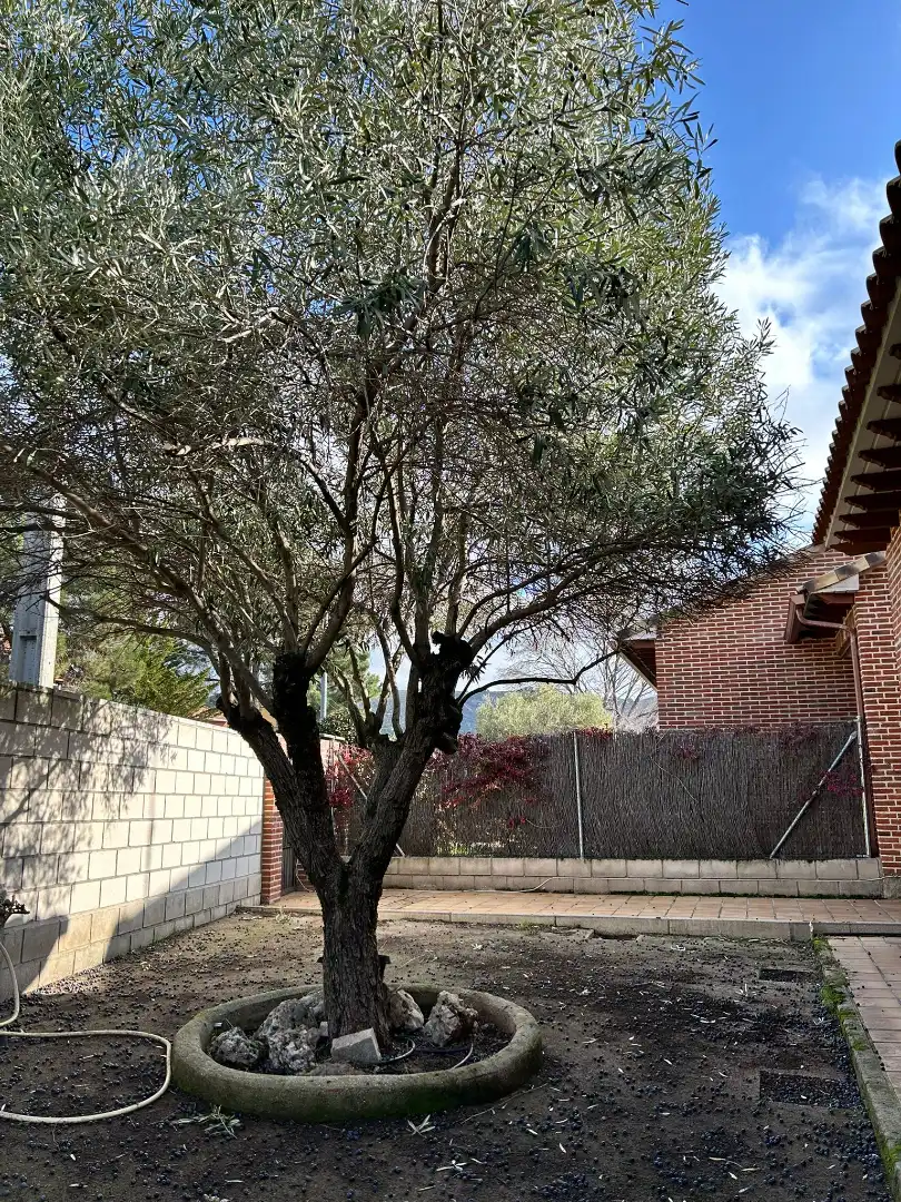 Garden of Detached homes for sale in Robledo de Chavela  with Heating, Private garden and Terrace