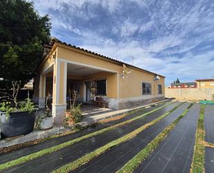 Exterior view of House or chalet to rent in Catral  with Heating