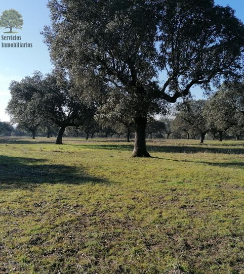 Foto 2 de Residencial en venta en Campus Universitario, Cáceres Capital