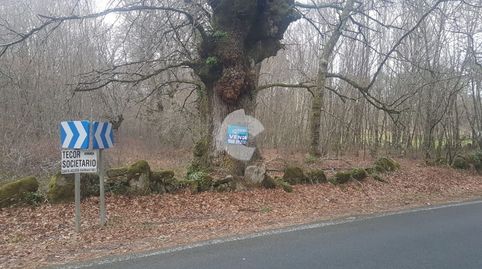 Finca rústica de 9519m2 en Amoeiro. Consúltanos sin compromiso., immagine 2