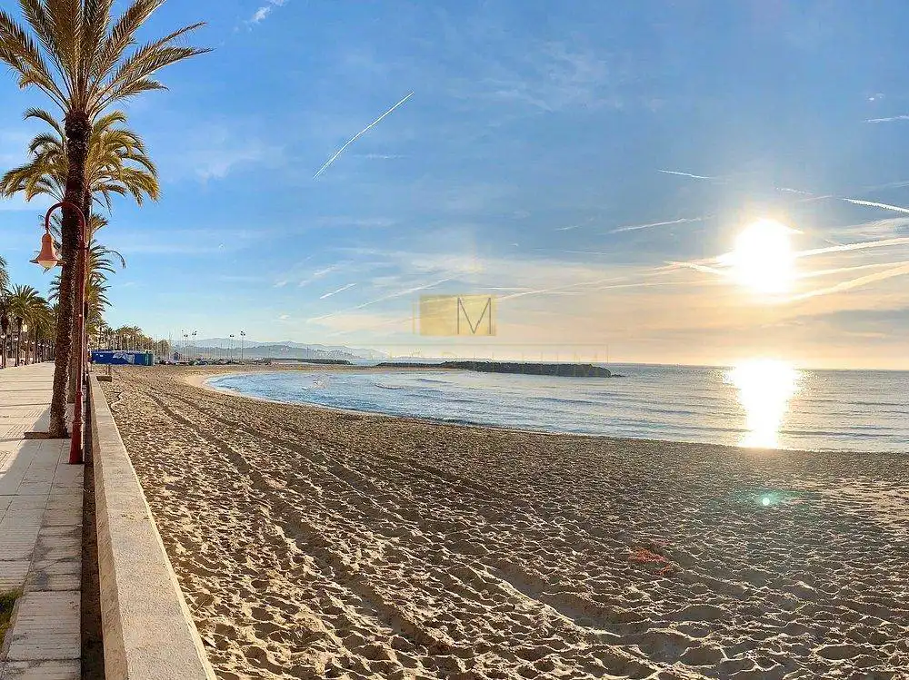 Local comercial en alquiler en Les Salines - Pla de Sant Pere, imagen 7