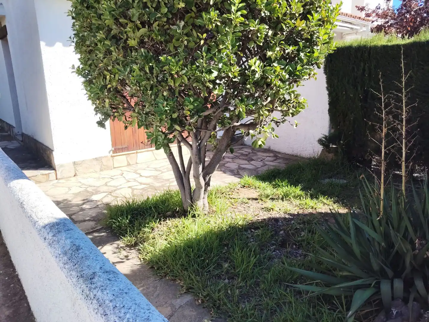 Garden of Flat for sale in Vila-seca Poble