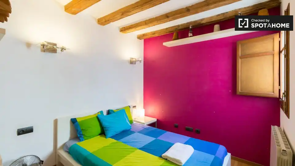 Appartamento con terrazza in affitto a Ciutat Vella, imagen 12