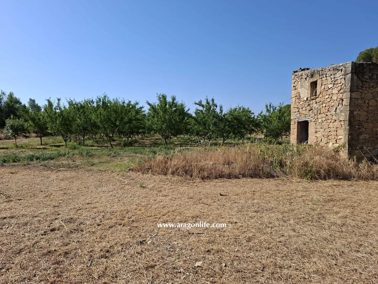 Finca rústica en venda en Mazaleón