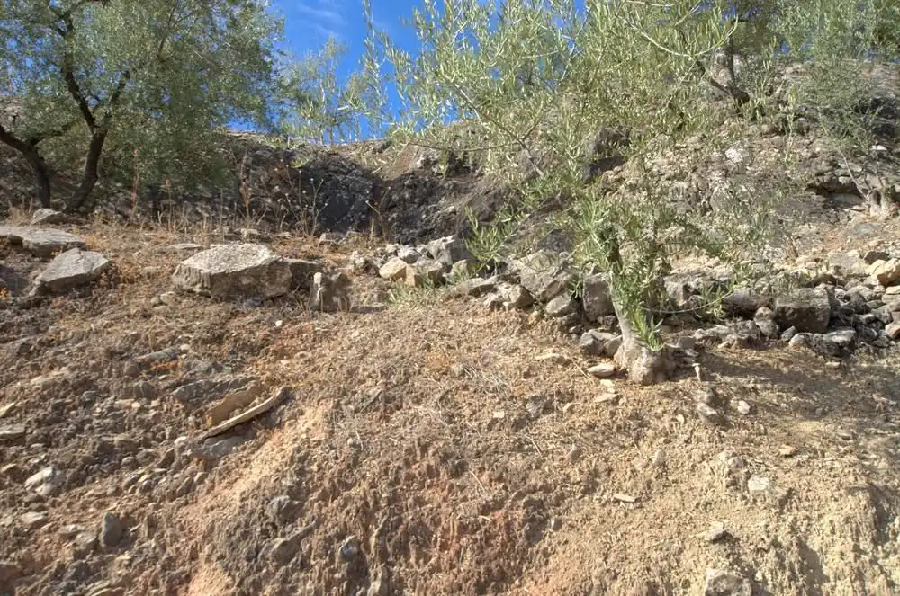 Terreno en venta en Cútar, Málaga