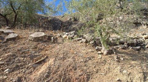 Foto 5 von Grundstücke zum Verkauf in Cútar, Málaga